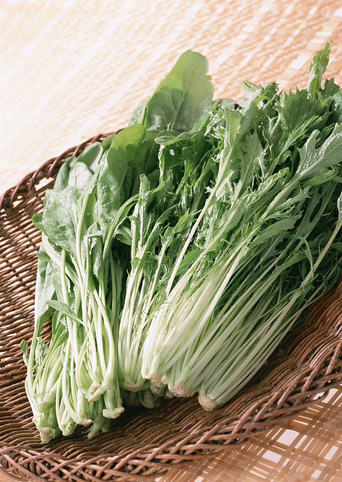 Chicory or catalogna, italian salad