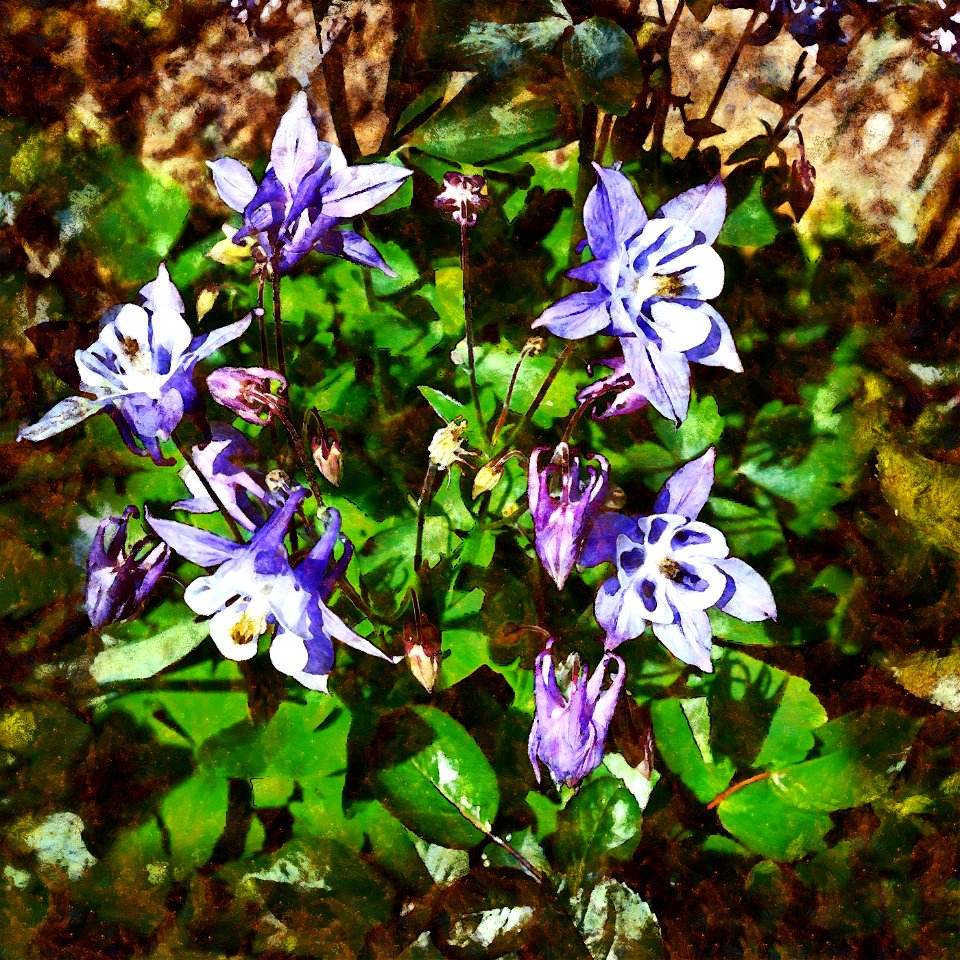 floral_DAP_Benson_New