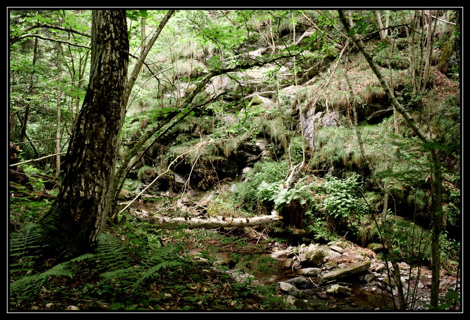 Along the path