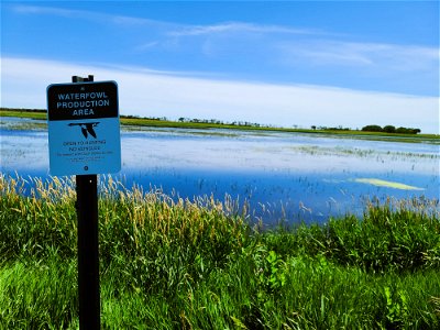 Wetland on Scott WPA Lake Andes Wetland Management District South Dakota