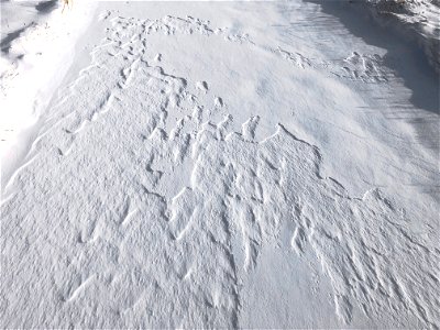 Stucco Like Texture in Snow