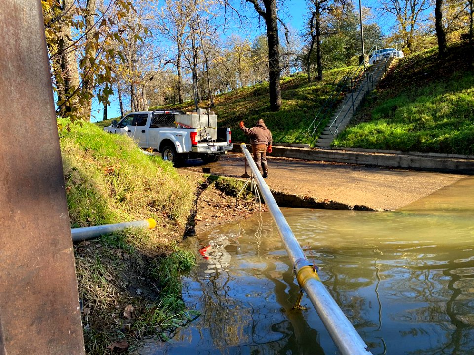 Prepping for salmon fry release