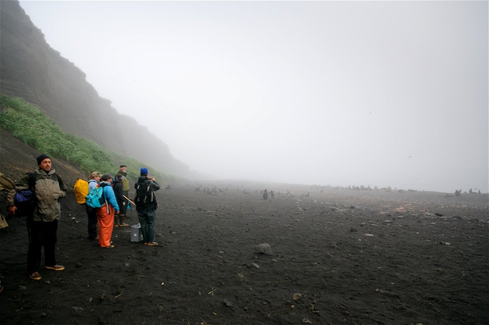 Puffin researchers on Bogoslof Island, foggy beach