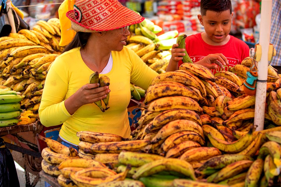 Bananas