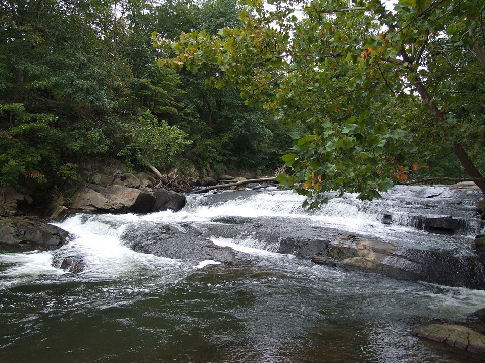 Ricketts Glen State Park Benton, PA