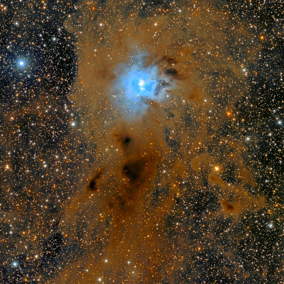 NGC 7023 - The Iris Nebula photo