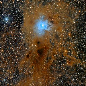 NGC 7023 - The Iris Nebula photo