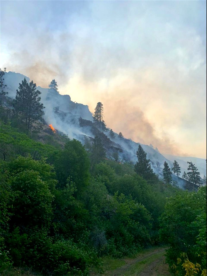 Joseph Canyon Fire