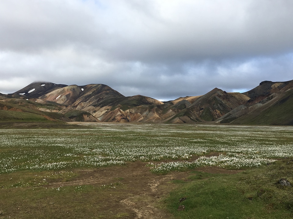 Icelandic landscape Landmannalaugar, Iceland