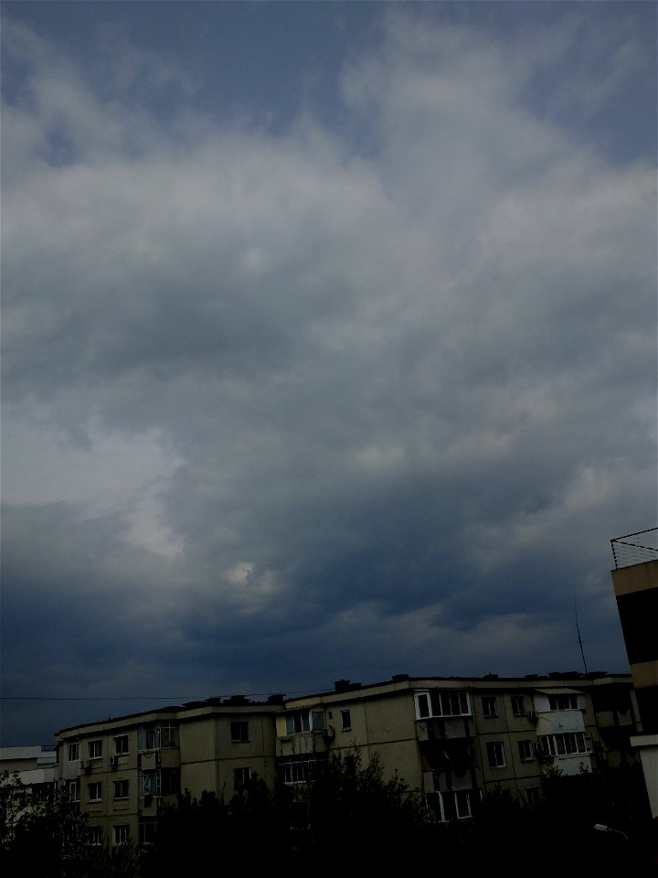 nori-sediuFeleacul2015_0420_144625(1)