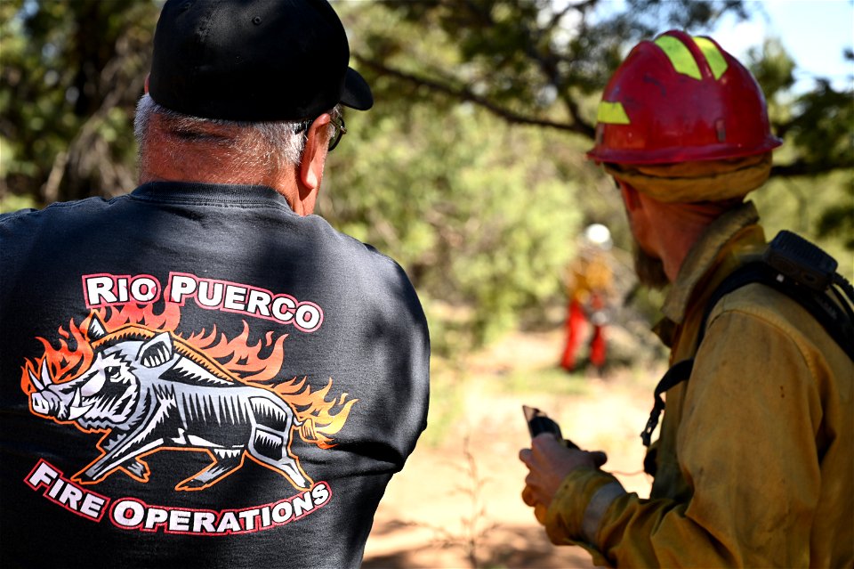 New Mexico Fuels Project