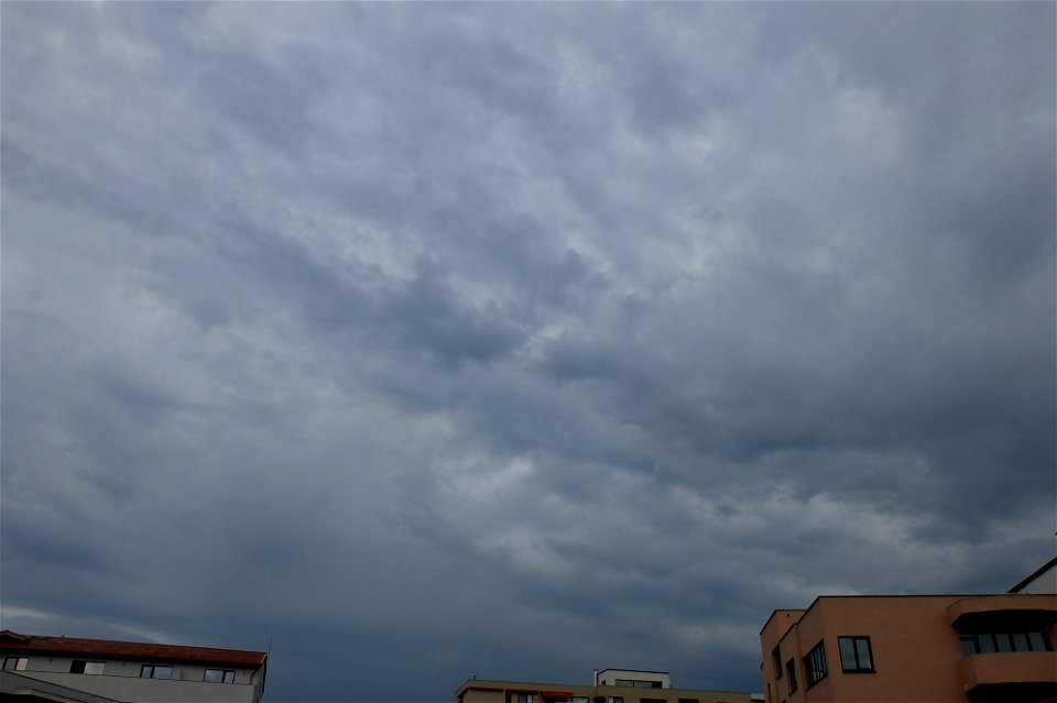 nori-sediuNCranfil2015_0630_075746