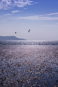 Ocean landscape scenic photo