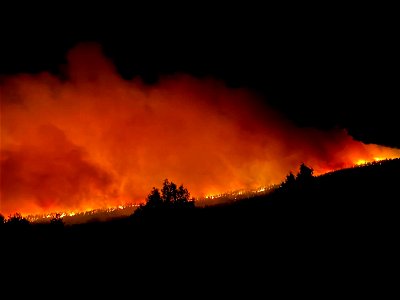 Wildfire at Night photo