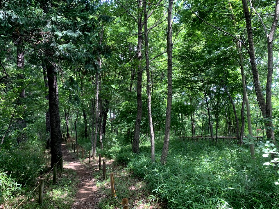 Nobidome Josui History and Nature Conservation Area in Shimosato, Higashikurume-shi