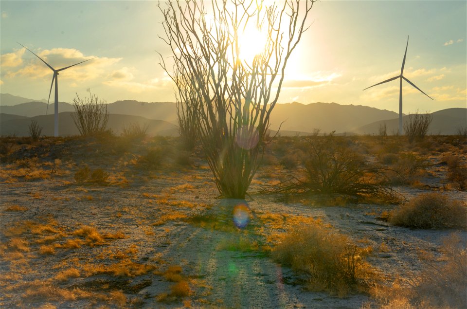 Plaster City Open OHV Area