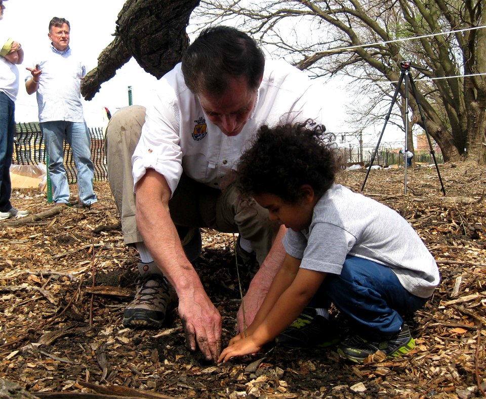 FWS Director Dan Ashe planting with young attendee photo