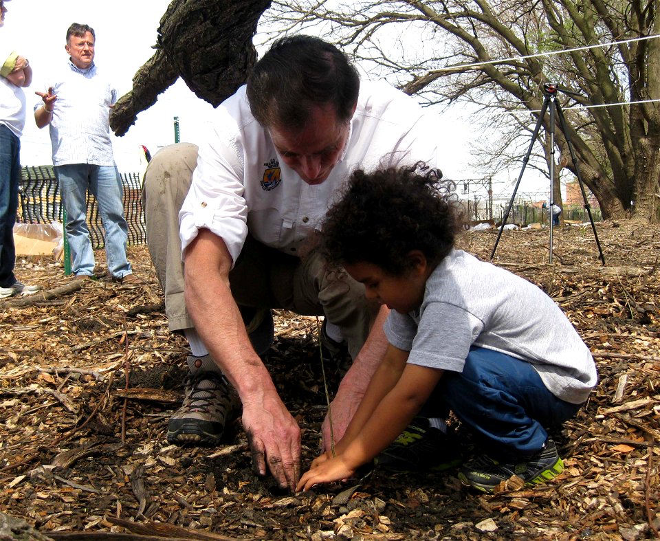 FWS Director Dan Ashe planting with young attendee