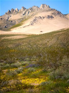 Owens Peak Wilderness Area (Short Canyon) photo