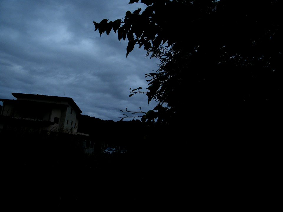 nori-oriz2010_0920_161133(1)