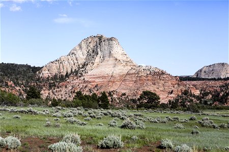 MAY 18 Sagebrush and juniper grow on the Smith Mesa near Zion National Park