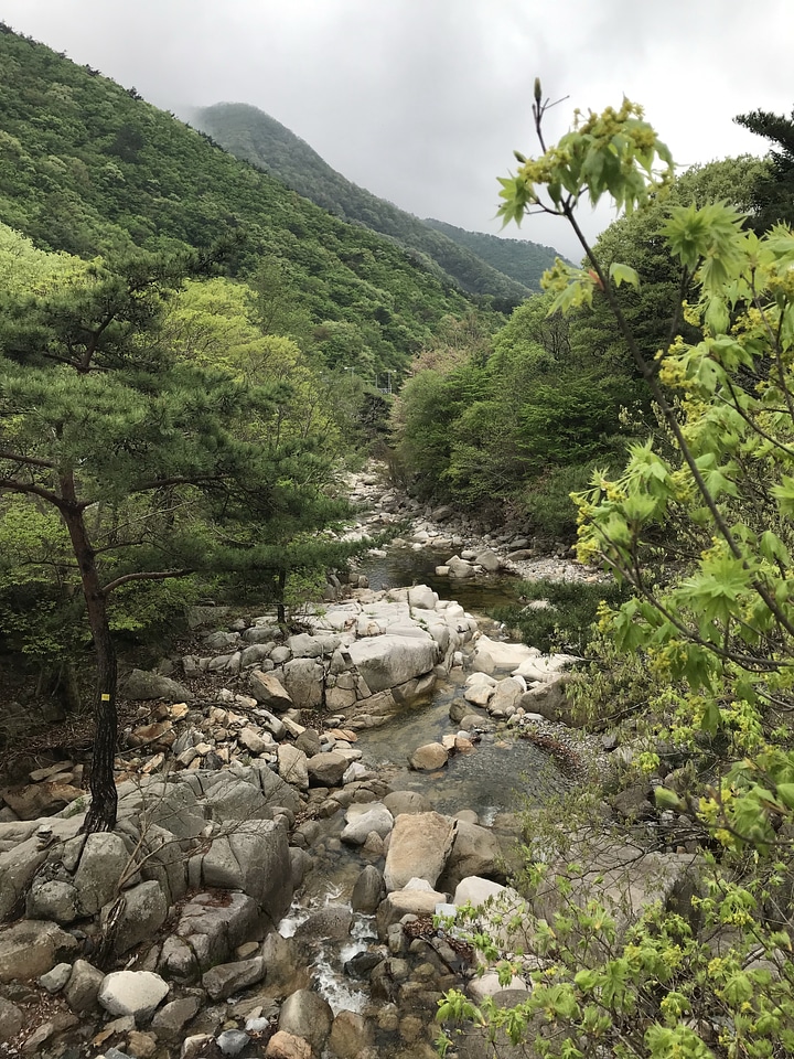 Gajisan state park in South Korea