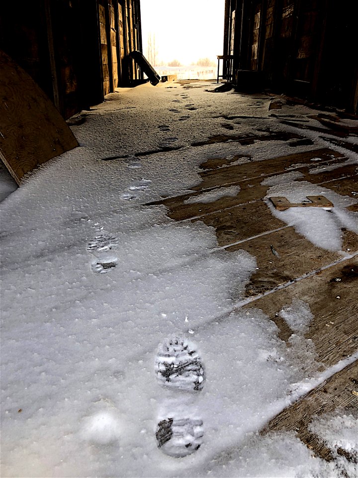 Steps into Time