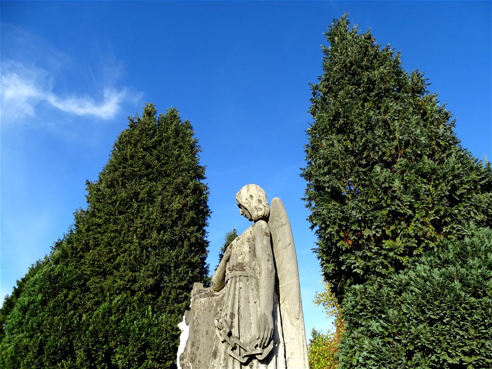Oude kerkhof Kapel in 't Zand Roermond