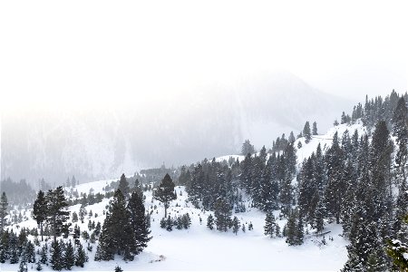 Bunsen Peak through a snowstorm photo