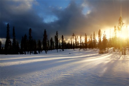 Long shadows on the snow near Mt. Bachelor, Oregon