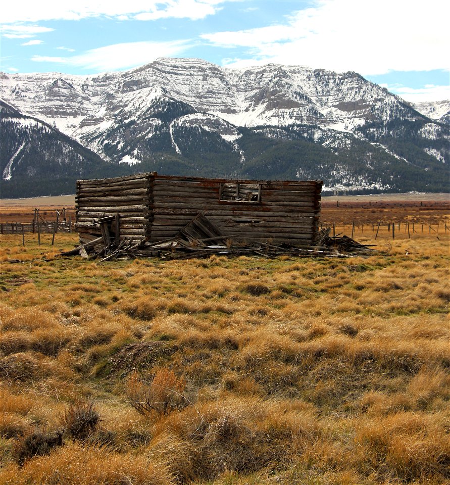 The Buck Homestead