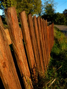 Old Fence photo