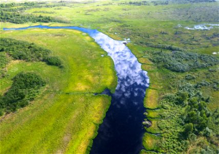 Yukon Delta NWR Wetlands