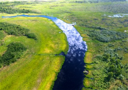 Yukon Delta NWR Wetlands photo