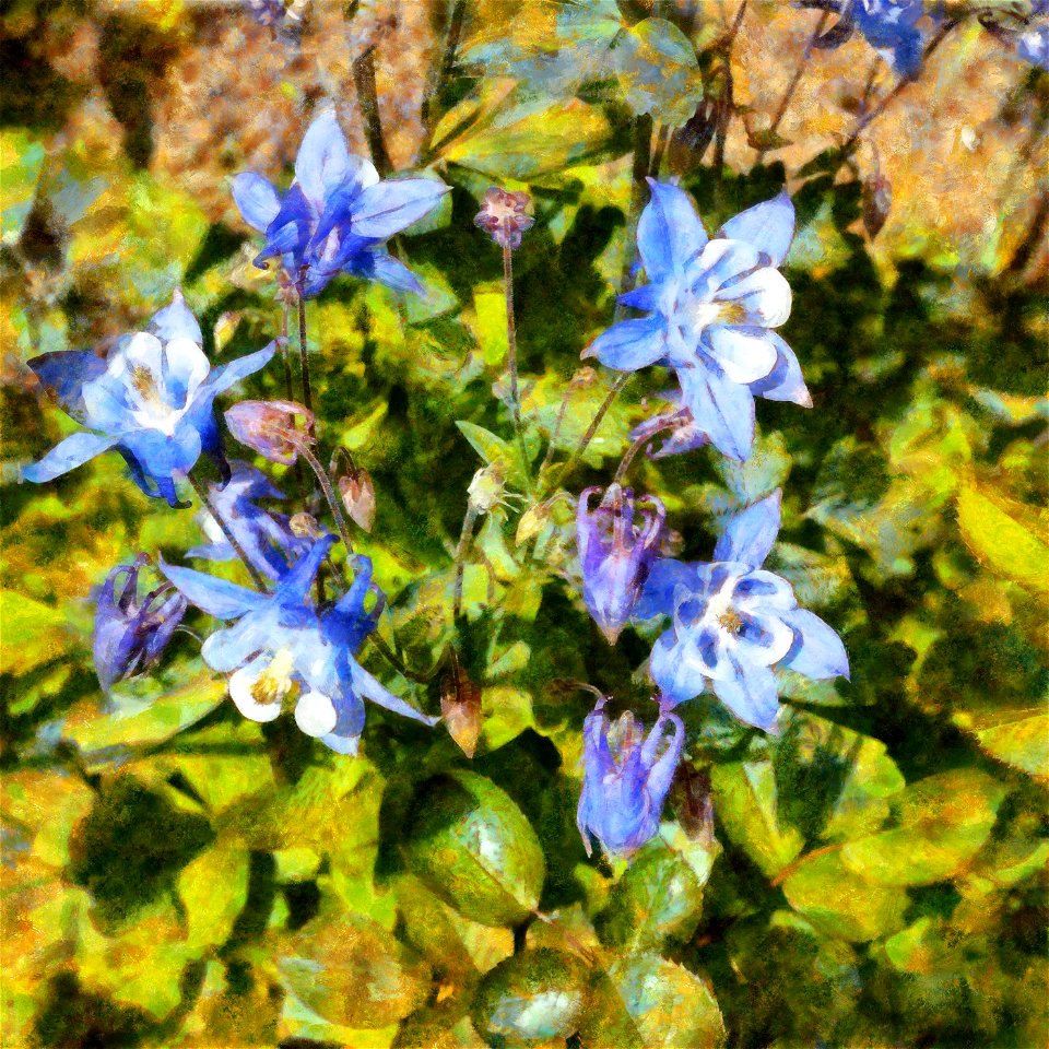 floral_DAP_Benson_v7