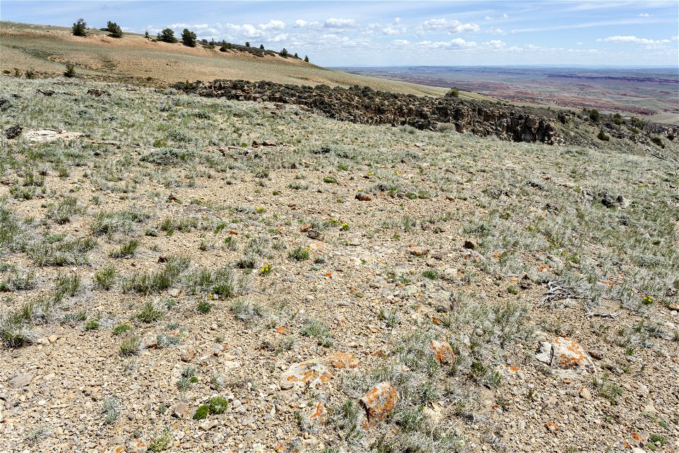 Southern foothills of the Bighorn Mountains
