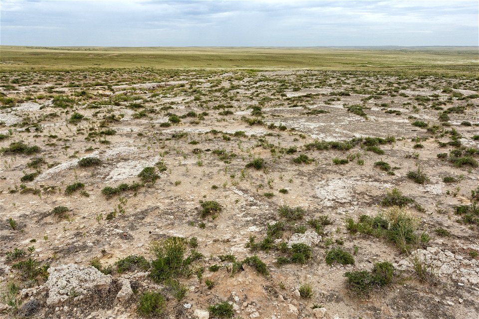 Northeast of Wire Lake