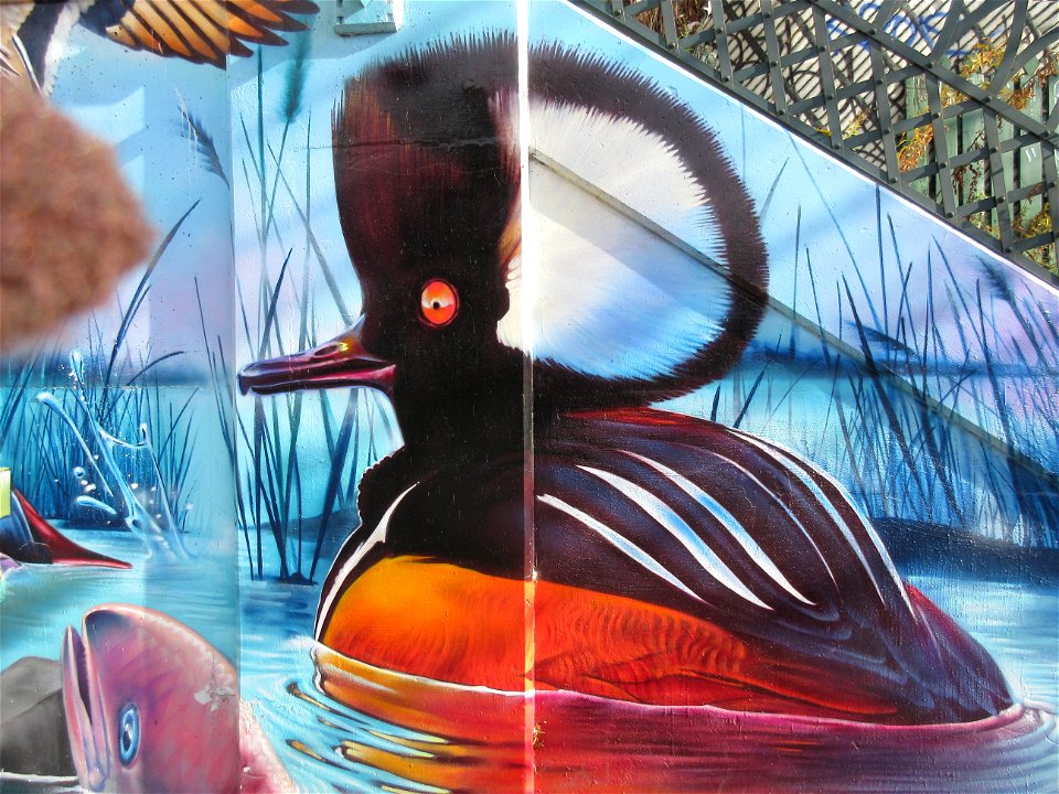 Toronto street art