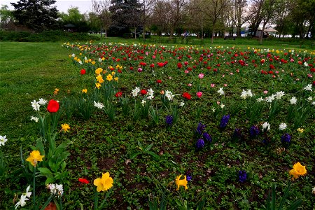 japanes_garden_rain_Herastrau (32)