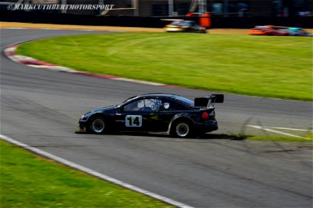 DSC_6565