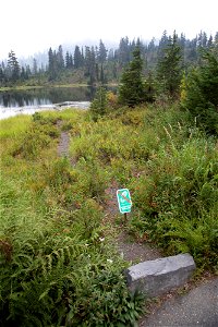 Mirror Lake-Before-Heather Meadows-Mount Baker-1-2