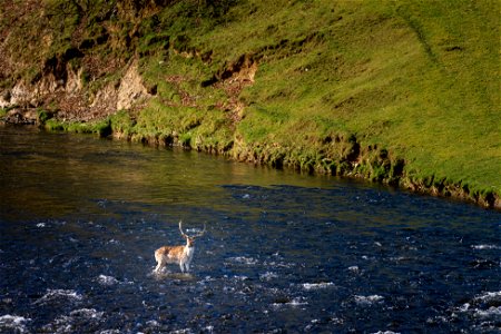 River Crossing