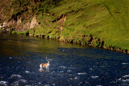 River Crossing photo