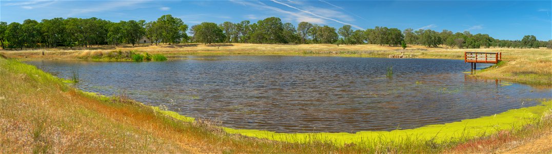 Sacramento River Bend Outstanding Natural Area photo