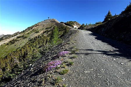 HART PASS - SLATE PEAK (07-19-2022) okanogan co, wa -04b