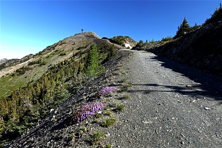 HART PASS - SLATE PEAK (07-19-2022) okanogan co, wa -04b photo