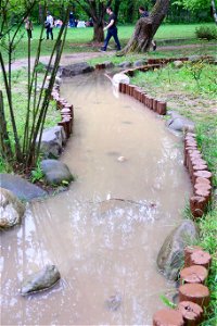 japanes_garden_rain_Herastrau (8)
