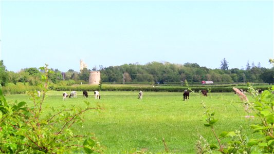Old Windmill on New Haggerston Farmland. photo
