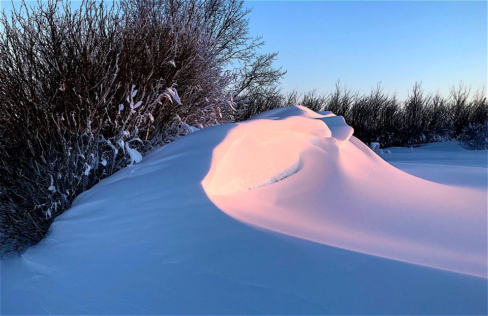 2022/365/32 Breaking Snow Wave