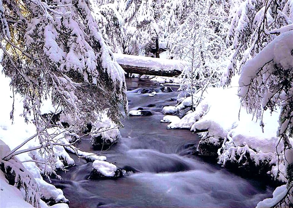 winter-1jpg_49364580706_o